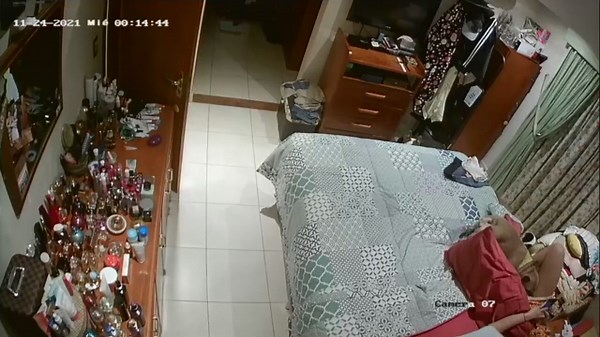 Mujer Perro Sexo Violento