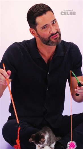 The Tom Ellis Kitten interview is out now! L̶i̶c̶k̶ Link in bio to watch it on BuzzFeed Celeb! ? | BuzzFeed Animals