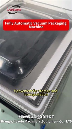 Fully Automatic Vacuum Packaging Machine