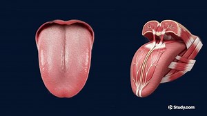 You must c C reate an account to continue watching