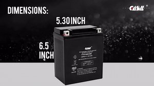 YTX14AH-BS AGM BATTERY Replacement for YAMAHA 400CC YFM40FW Kodiak 1993-1995
