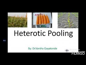 Heterotic pooling