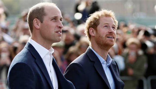 Prince William collaborates with Prince Harry on new project
