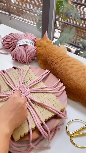 Creando un macetero colgante estilo cesta con técnicas de tejido usando el cordón trenzado de 5 mm ¡Debo decir que este cordón es perfecto para el trabajo! ¿Qué te parece? 🤔 Comenta "🧺" y te enviaré las medidas para que puedas crear el tuyo 🥰. . #Macramé #cestadiy #tejido #artetejido #macramé #cesta #tejido #textilestejidos #artetejidoparamural #tapiztejido #tapizmacram #tapiztejido | Curso Macrame