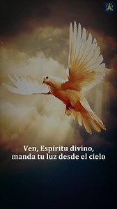 23K views · 1.8K reactions |  Una ORACIÓN PODEROSA: Ven Espíritu Divino para TRANSFORMAR tu VIDA | Oraciones Cortas | Facebook