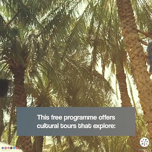 Highlights From the Date Harvesting Programme in Abu Dhabi #UAE #AbuDhabi #AbuDhabiCulture Abu Dhabi Culture Department of Culture and Tourism | UAE Forsan English