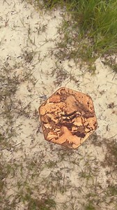 1.9K views · 19 reactions | Our Infinity Rain Tower imitates the sound of rain in a wonderful way. We build three sizes of these wonderfully relaxing sound objects from oiled ash and cork pads. Once turned upside down, they provide a soothing rain backdrop for 5 - 22 minutes. Perfect for sound journeys, sound baths, meditation, yoga or sound healing sessions. #schlagwerkeinklang #raincolumn #Rainmaker #raintower #soundhealingmeditation | Schlagwerk | Facebook