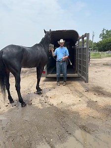 Legacy Ranch & Rescue Inc on Reels