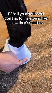 11K views · 20 reactions | Why do I use bell boots on my horses? So help prevent ripping a front shoe off aaaaand to help prevent her over reaching with her hind foot and splicing the back of her heel ✔️ #horses #horseequipment #horseshoe | Horse and Soul Motivation | Facebook