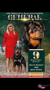 29 reactions | GENERAL GCHS Chancellor Fa Mulan Stealth Fighter # 9 ROTTWEILER (breed) GROUP WINNING BEST IN SPECIALTY #ADF #AKC #Rottweiler #Rottie #Workingdog | American Dog Fancier | Facebook