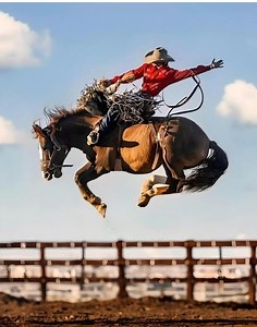 Reba McEntire barrel racing #barrelracing #reba #rebamcentire #fyp #rodeo #rodeotok #fypシ | Rodeo Cowgirls