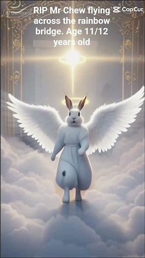 Mr Chew crossed the rainbow bridge