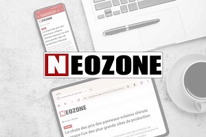 WpDiscuz - Une alternative à Disqus internalisée