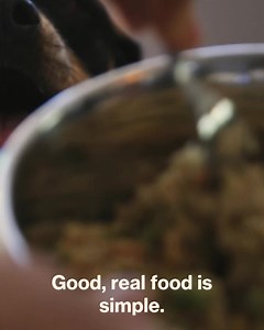 We started by cooking fresh for our dogs. Now we’ve delivered over 200 million healthy meals to dogs all over. | The Farmer's Dog