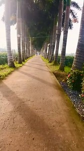 109K views · 1.3K reactions | 62 Long An chắc chắn đều biết con đường này 殺 | Long An 62 | Facebook