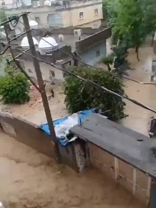 2.4K views · 19 reactions | Severe Weather Turkey on Reels | Facebook