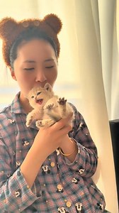 2.7M views · 10K reactions | Cuteness overload in a small package #catlover #cute #cat #pet #kitten #animals | Panda Cat | Facebook