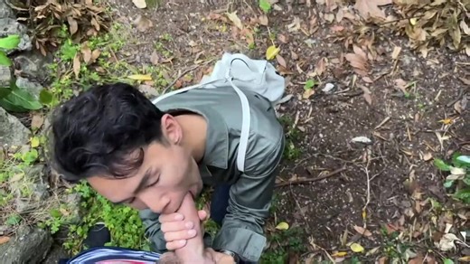 -Asian- Vietnamese Park Cruising