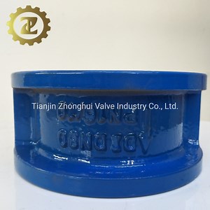 [Hot Item] Dual Plate Non Return Spring Valve Check Valve H76 H77
