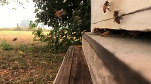 1.1K views · 58 reactions | Went down this morning to check on the...