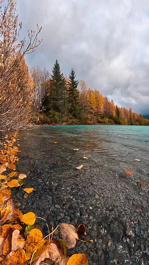 🎈Alaska💙 #autumnvibes #autumn | Views2