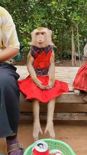 8.4K views · 309 reactions | Ting noy ting noy…朗朗朗 | YaYa Note | Facebook