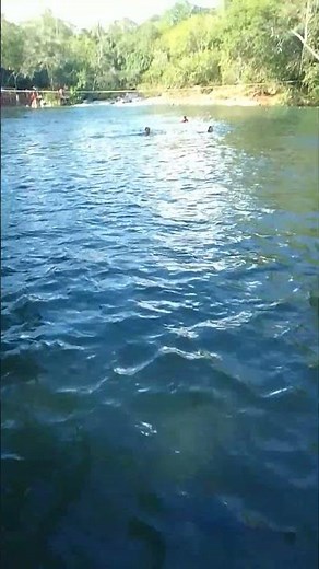 Top top mesmo 🐟🐟