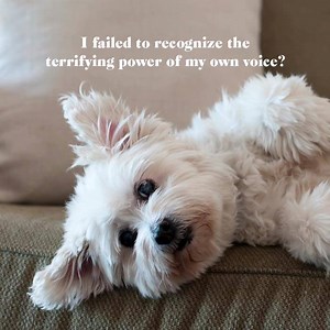 Be fair to your pets with ThunderEase Pheromones. Over 90% effective in reducing anxiety symptoms and unwanted behavior. | ThunderWorks