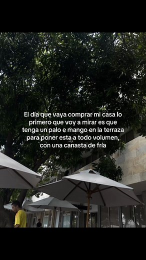 Palo de mango en la terraza: tradición vallenata para parranda