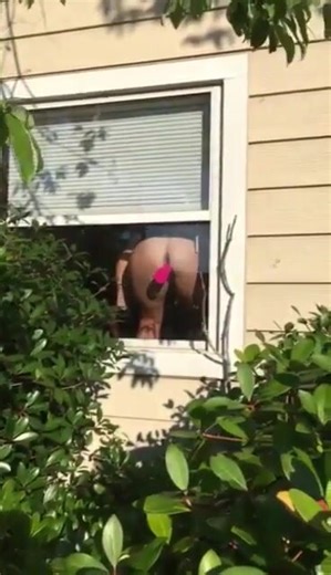 Neighbor Window Show