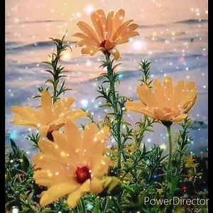 28K views · 963 reactions | A mi me esta doliendo ❤️❤️❤️Banda MS | La chica del cerro azul | Facebook