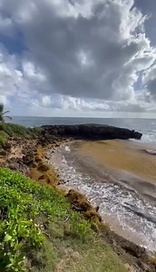 14K views · 1.1K reactions | Desde Cerro Gordo, Vega Alta por Elsie Enid Rivera | Deborah Martorell | Facebook