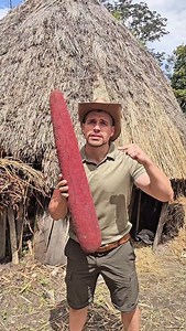 3M views · 124K reactions | Marita Fruit   : Pandanus conoideus #traditional #papua #food #dani #tribe | Indiana José | Facebook