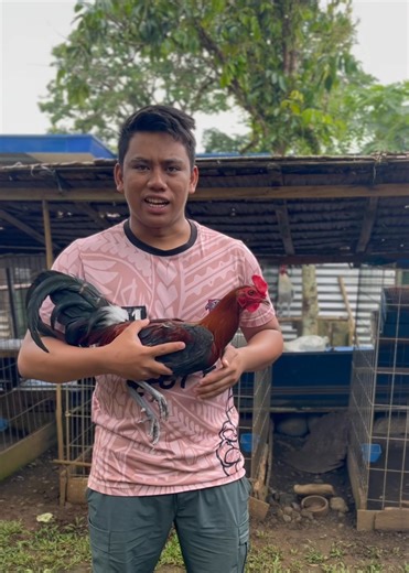 Going to Quezon Bukidnon 🐓: Hiaction Hatch | Angel Dave