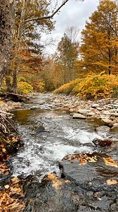 🚨 Job site wake-up call: Residential home, foundation posts set, slab pour today. Credit where due — the contractor did a solid job putting poly down over the ground and overlapping the seams. They knew to block bulk moisture. But look: moisture is already pushing up through the poly — it’s literally trying to come through. And with ZERO foam or continuous insulation under the slab? Mother Nature’s heat (105° summers ahead) will pour straight through that concrete, forcing them to oversize the 