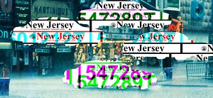 'Duped': Inside the Black Market for Illegal Temporary License Plates