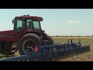 Texas Departmen of Agriculture launches new program to connect consumers with producers
