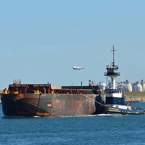 [Hot Item] The Cheapest Sea Freight Rates Shipping to Sharjah