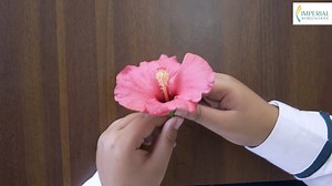 Young botanist in the making! Rayan Adhikari, a fourth-grader from Rapti, is buzzing with excitement as he shares his newfound knowledge on the intricate world of flowers and their functions. #PartsofFlower #scienceatiws #IWS #IWSEducationalVideo #ImperialWorldSchool | Imperial World School