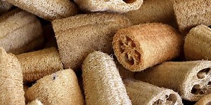 Best way to clean your dirty loofah