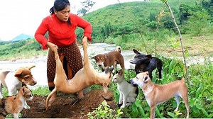 94K views · 1.7K reactions | 13-woman cooking Egg duck for dog & cat- boil egg eating delicious- cooking in forest HD | Nice Food | Facebook