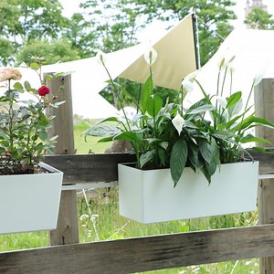 [Hot Item] Premium Weather-Resistant Plastic Planter Box for Garden Plants
