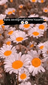 🌹🍀🌹 | SeVgİ SöZlErİ