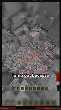 Using THOUSANDS of silverfish to XRAY