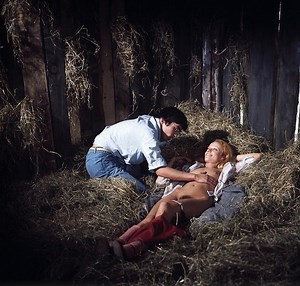 Schulmädchen-Report 11: Probieren geht über Studieren (1977) | ČSFD.cz