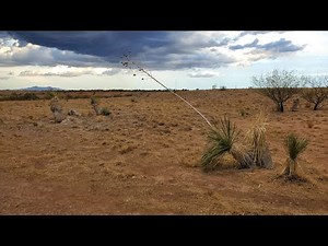 We used to LOVE it here!