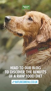 Natures Menu on Reels | Facebook