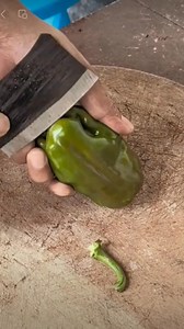 178K views · 246 reactions |  Dive into quick farming hacks with our bite-sized tips #farming #farm #plants #grafting | Kito.Uno | Facebook