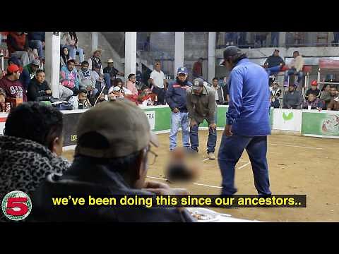 Cockfighting in Rural Mexico
