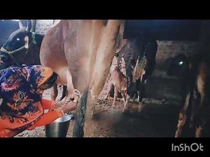 How to do gay milking #how to do it#